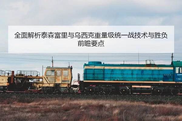 全面解析泰森富里与乌西克重量级统一战技术与胜负前瞻要点